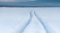 Snow Removal Service