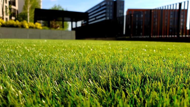 Trusted Sioux Falls Lawn Care Professionals