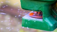 Lawn Fertilization
