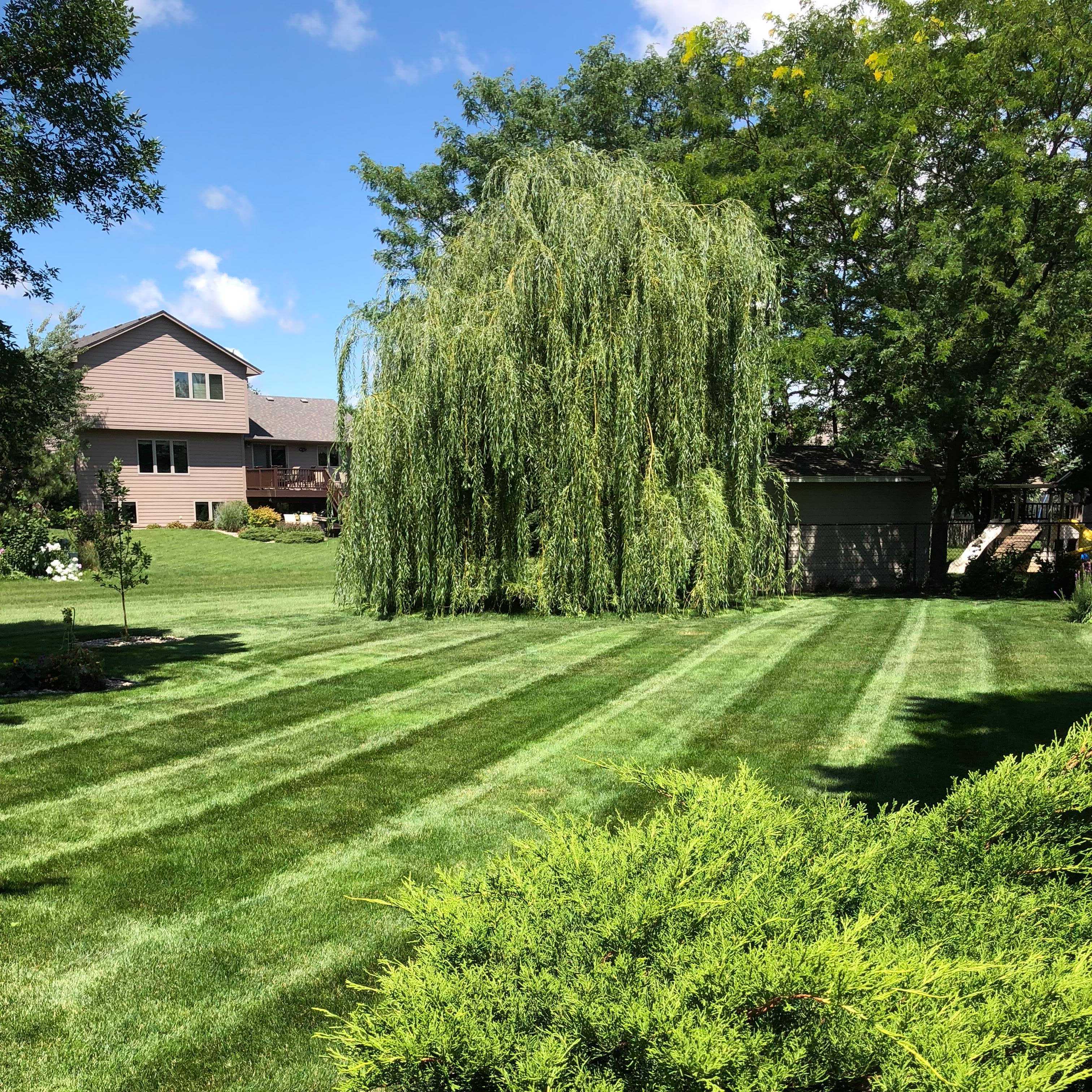 Lawn Care example