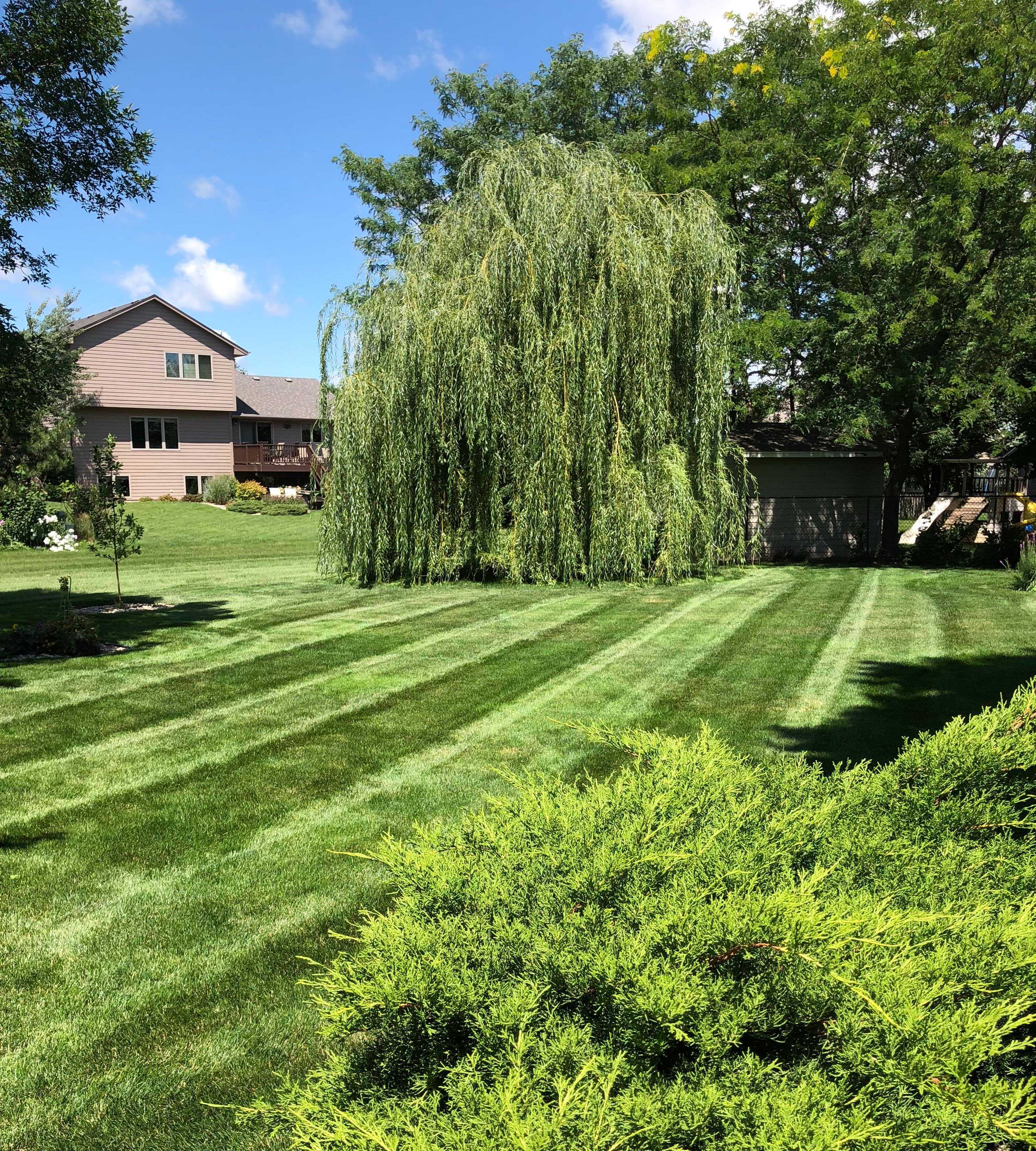 Bullseye Lawn Care Example